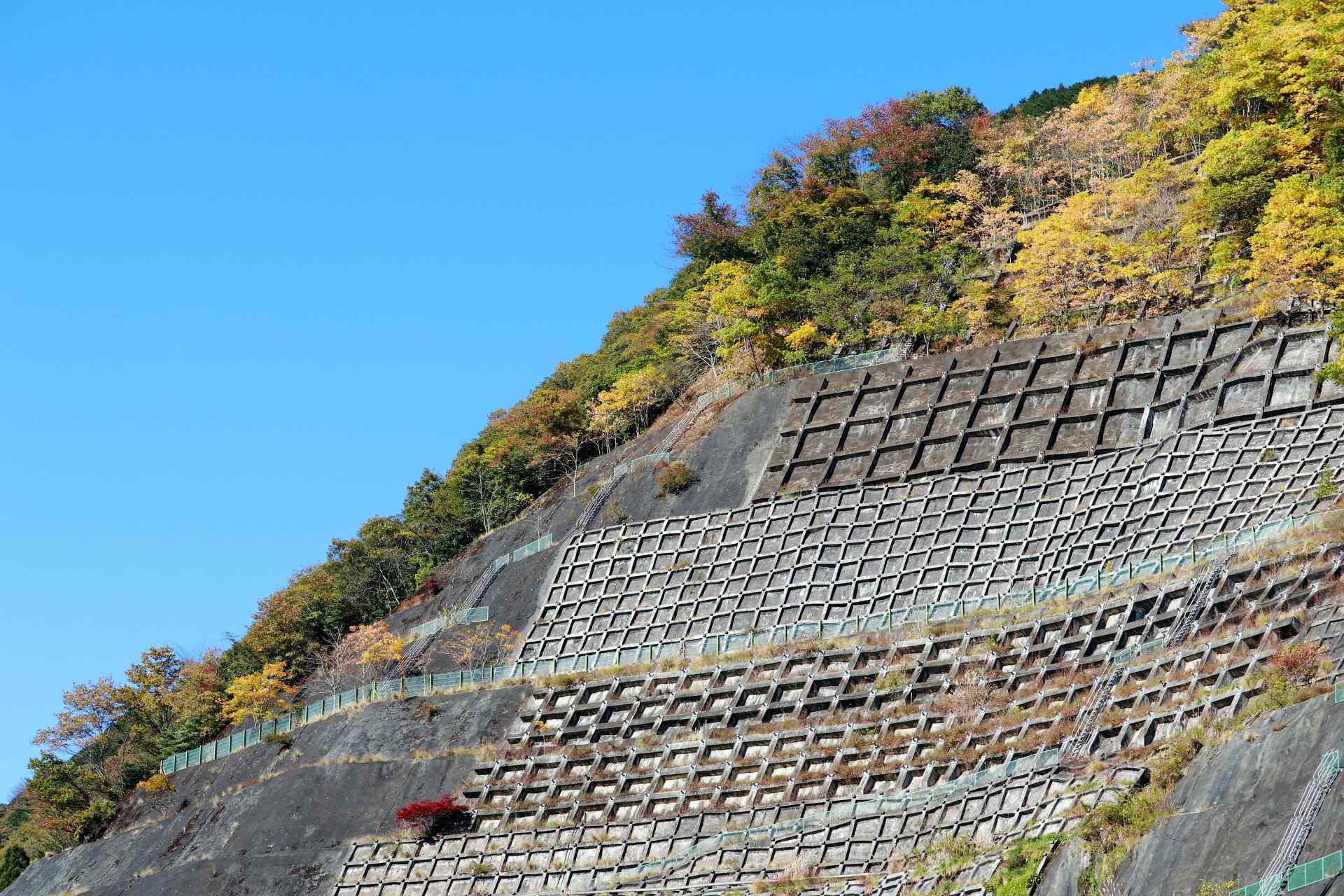 調査・点検のイメージ画像